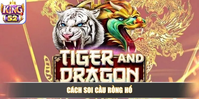 Cách Soi Cầu Rồng Hổ Hiệu Quả Giúp Tăng Tỷ Lệ Thắng